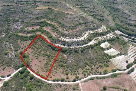 Agricultural field in Pachna, Limassol