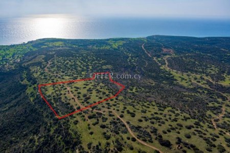 Tourist field in Pissouri, Limassol