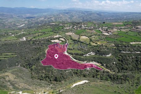 Agricultural field in Pano Akourdaleia, Paphos