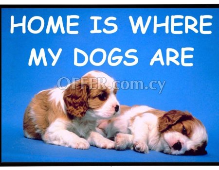 Two cute puppy dogs poster great gift idea for dog lovers ideal for kids Ακολουθούν Ελληνικά
