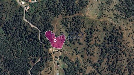 Residential field located in Pigenia, Nicosia