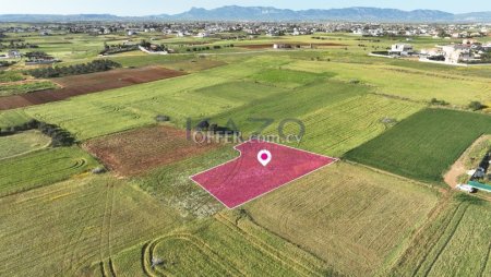 Residential field located in Agioi Trimithias, Nicosia