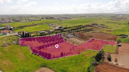 Agricultural field in Palaiometocho, Nicosia.