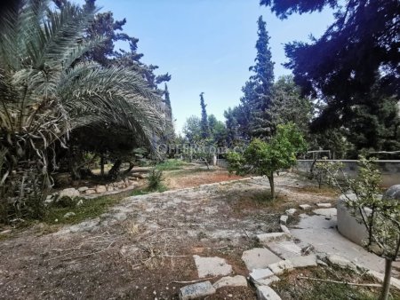 Prime Residential Plot in Panthea Area, attached to Green Area