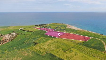 Seaview Field in Mazotos, Larnaca