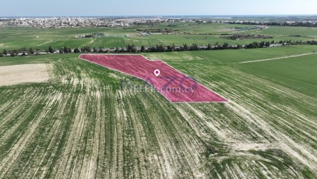 Agricultural field in Kalo Chorio, Larnaca