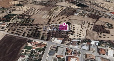 Distributed 50% share of a Field in Athienou, Larnaca