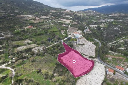 Residential Field, Koilani, Limassol