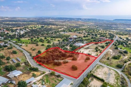 Shared residential field in Prastio Avdimou, Limassol