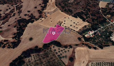 Agricultural Field in Lythrodontas, Nicosia