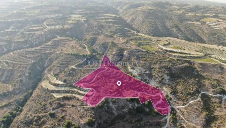 Agricultural Field, Theletra, Paphos