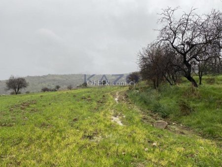 Shared residential field in Kelokedara, Paphos