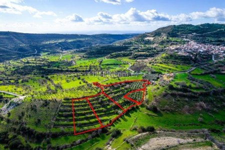 Residential fields in Dora, Limassol