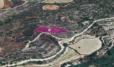 Agricultural Field, Monagri, Limassol