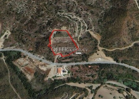 Agricultural Field for sale in Asgata, Limassol