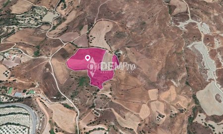 Agricultural Land For Sale in Lasa, Paphos - DP3346