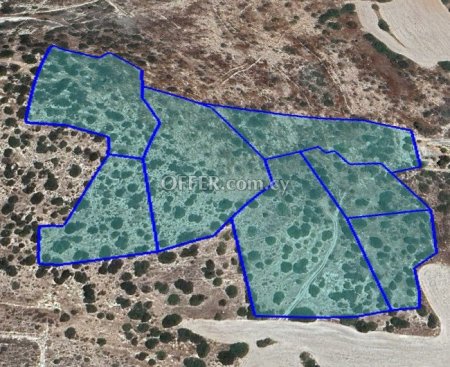 (Agricultural) in Pyrgos, Limassol for Sale