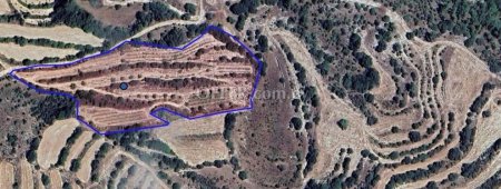 Agricultural Field for sale in Amargeti, Paphos