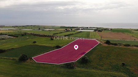 Field in Alaminos Larnaca