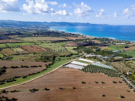 Agricultural Field for sale in Makounta, Paphos