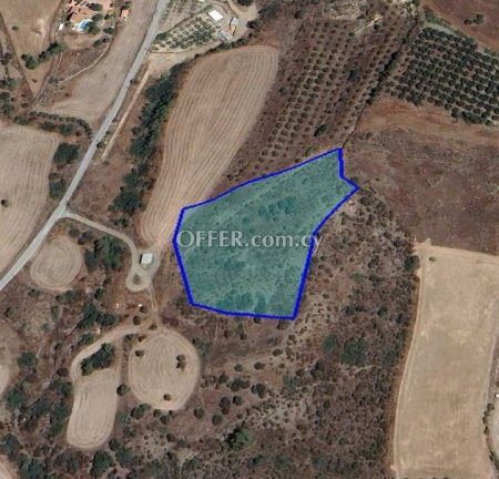 (Agricultural) in Parekklisia, Limassol for Sale