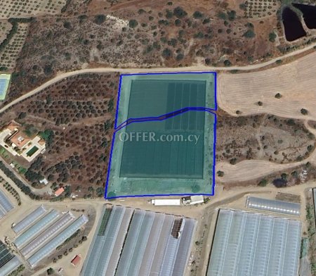 (Agricultural) in Monagroulli, Limassol for Sale