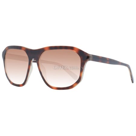 Guess Brown Unisex Sunglasses