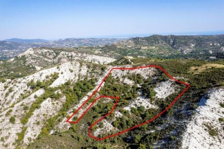 Agricultural Field for sale in Pera Pedi, Limassol