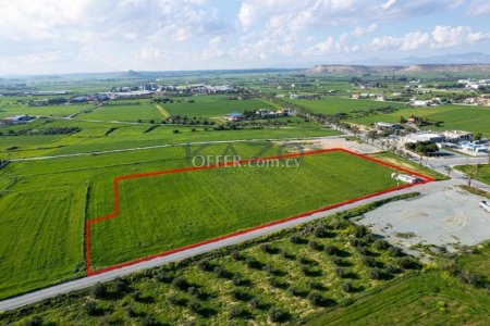 Shared field in Athienou, Larnaca