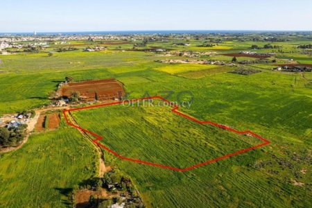 Shared agricultural field in Avgorou, Famagusta