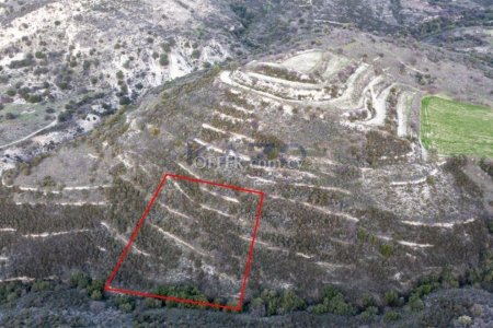 Field in Dora, Limassol