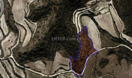 Agricultural Field for sale in Theletra, Paphos