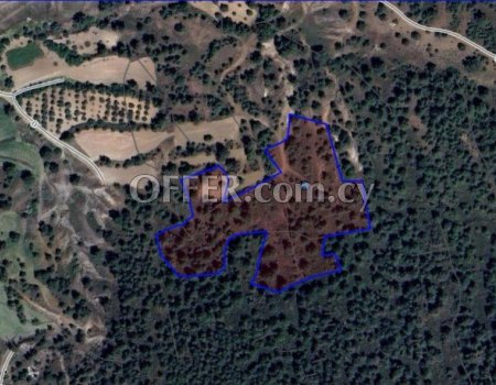 ⚠️⚠️ Agricultural land in Klirou, Nicosia for Sale⚠️⚠️ 1132