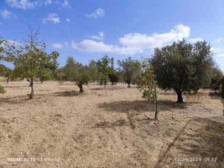 Field for sale in Sotira Lemesou, Limassol