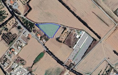 Field for Sale in Meneou, Larnaca