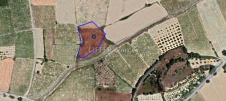 Agricultural Field for sale in Polemi, Paphos