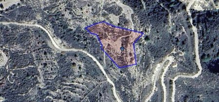 Agricultural Field for sale in Arminou, Paphos