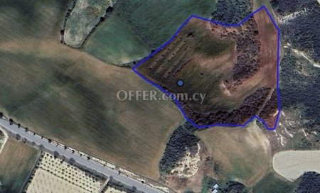 Agricultural Field for sale in Steni, Paphos