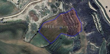 Agricultural Field for sale in Steni, Paphos