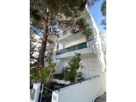 Three Bedroom spacious apartment for rent near Acropolis park