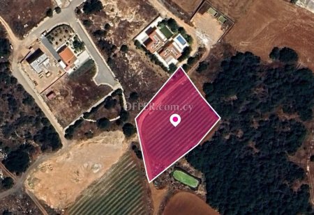 Share Residential field located in Paralimni Ammochostos