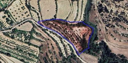 Agricultural Field for sale in Kallepia, Paphos