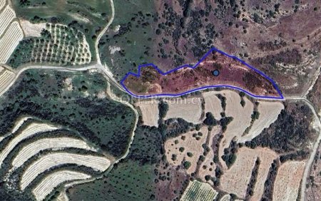 Agricultural Field for sale in Lemona, Paphos