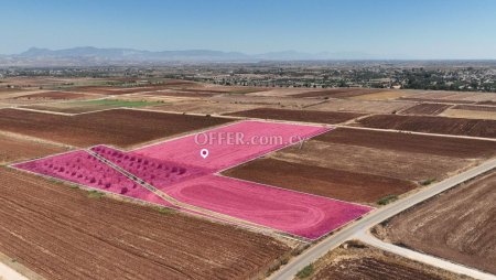 Special Protection field in Orounta Nicosia