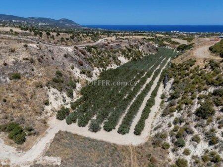 Field for sale in Prodromi, Paphos