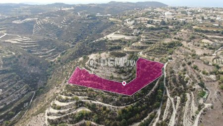 Agricultural Land For Sale in Koili, Paphos - DP4371