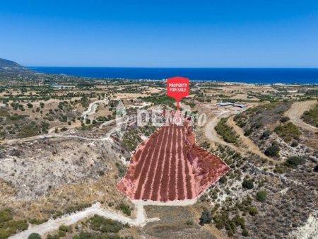 Agricultural Land For Sale in Polis, Paphos - DP4370