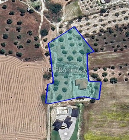 (Residential) in Alethriko, Larnaca for Sale