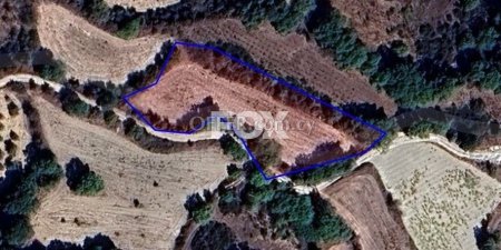 Agricultural Field for sale in Polemi, Paphos