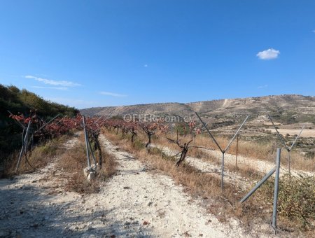 Land Parcel 56500 sm in Agios Amvrosios, Limassol